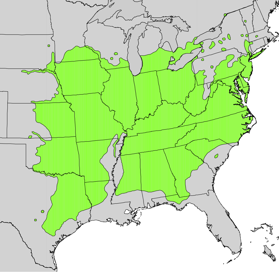 Eastern Black Walnut: Range Map