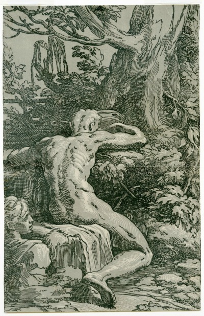 Narcissus at the Fountain