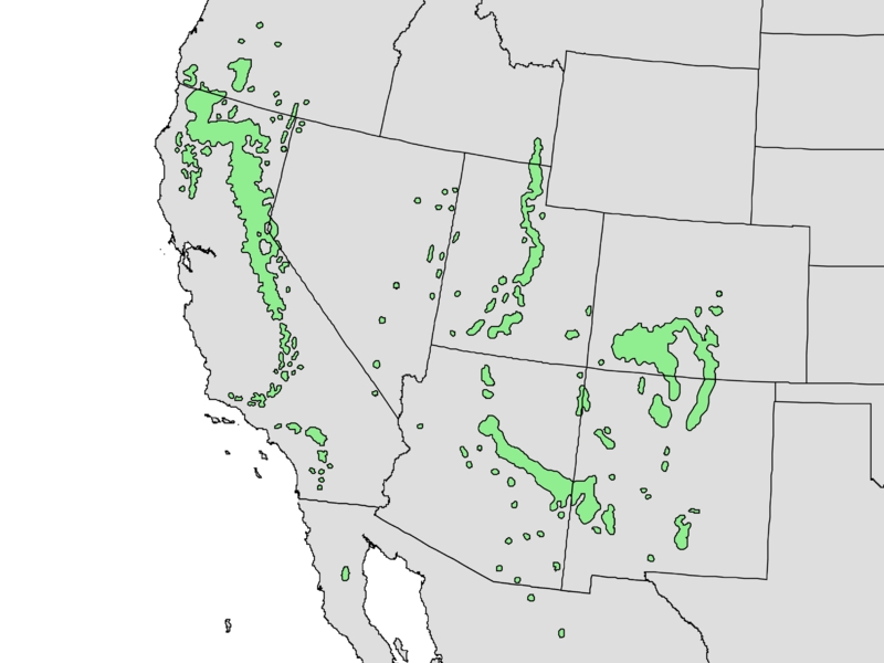 Abies concolor range map