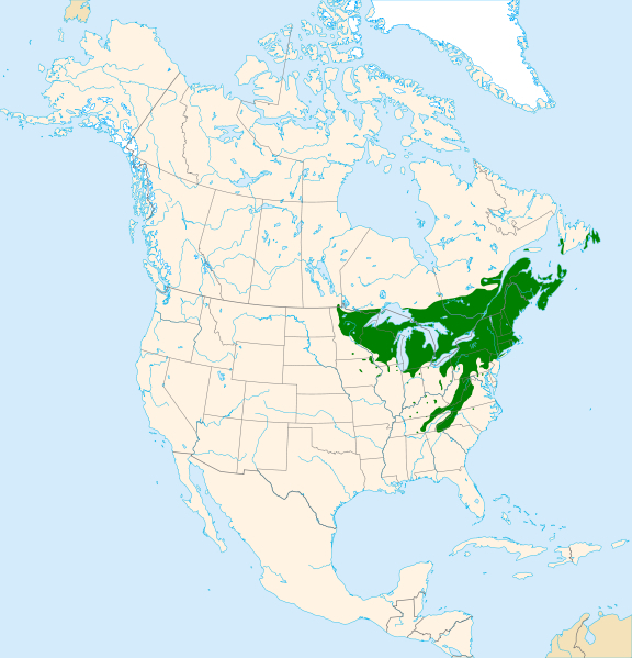 Range map of yellow birch