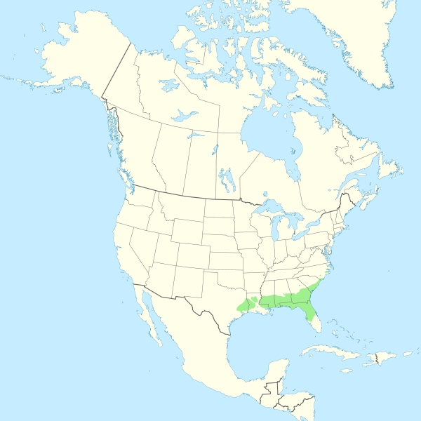 Magnolia grandiflora range map