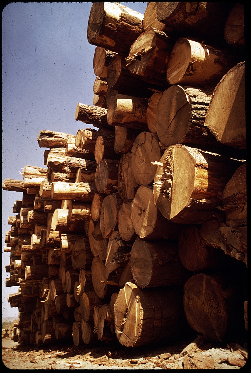 Ponderosa Pine- Lumber