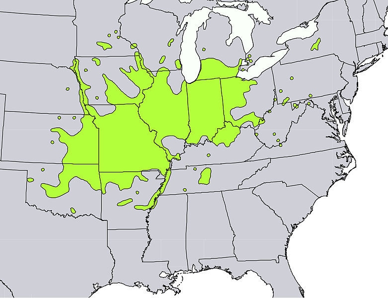 Range map of Gymnocladus dioicus