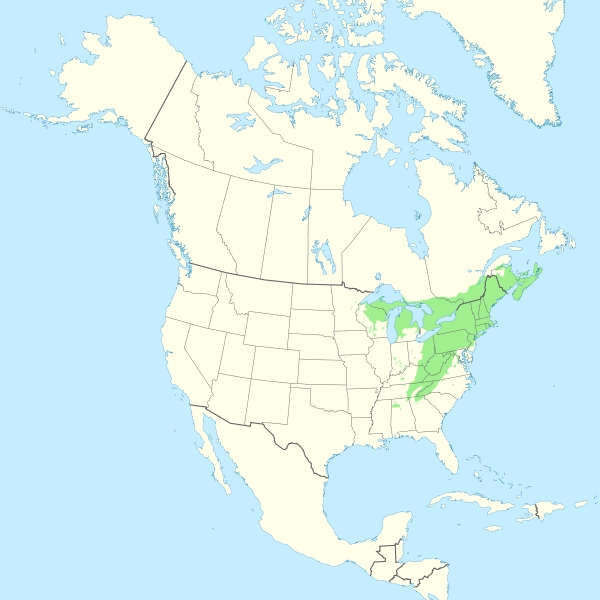Range of eastern hemlock 