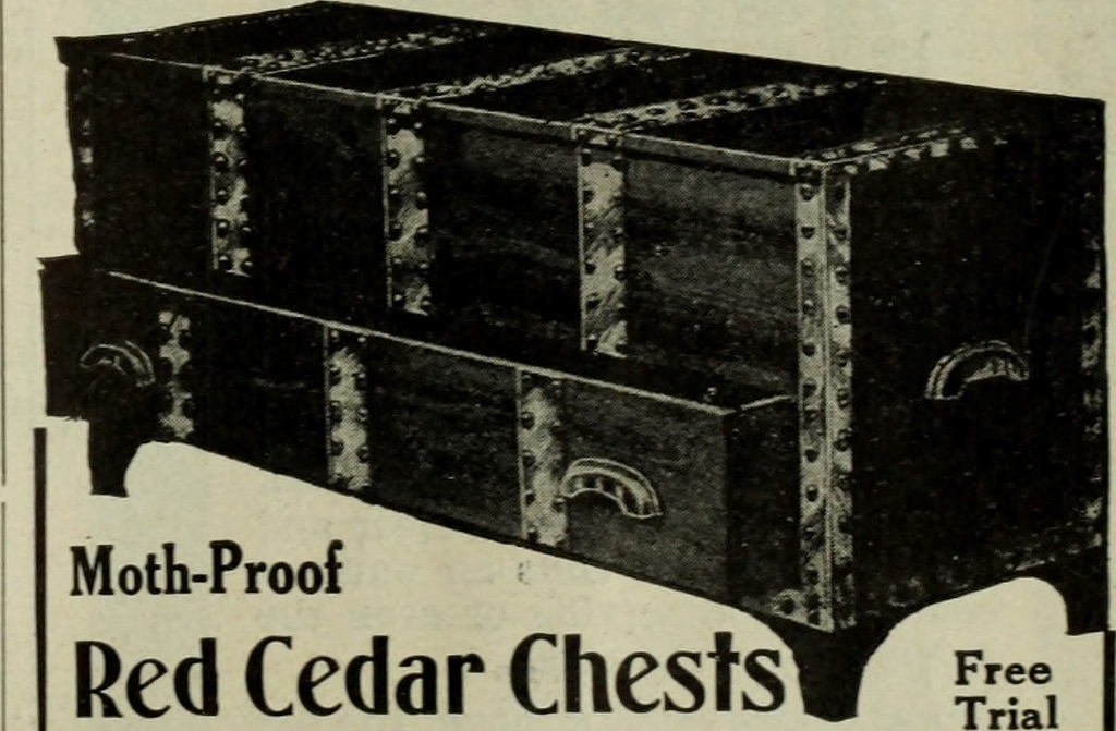 Cedar chest vintage.jpg