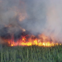 fire.jpg