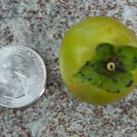 DSCN6682.JPG