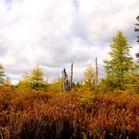 DSC_0532.JPG