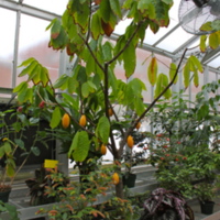 IMG_4566.jpg