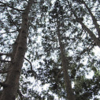 DSC_0475.jpg