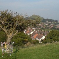 glastonbury thorn.jpg