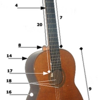Acoustic_guitar_parts.png