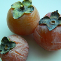 DSCN6767.JPG