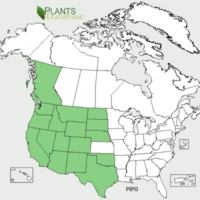 Ponderosa-Distribution.png