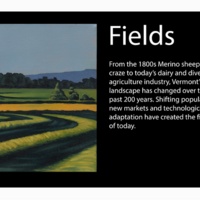 Fields.jpg