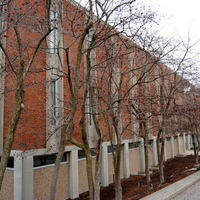 hawthorn row.jpg