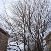 DSC_0433.jpg