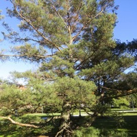 IMG_1069.jpg