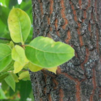 DSCN6676.JPG