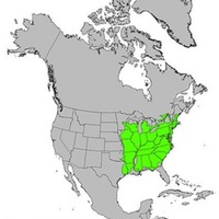 white oak range.jpg