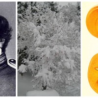 makingamericanpersimmon.jpg