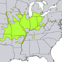 781px-Gymnocladus_dioicus_range_map.jpg