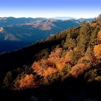 tejon ranch.jpg