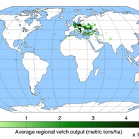 sour cherry map.png