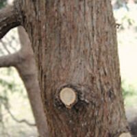 DSC_0471.jpg