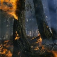 fire myth.png