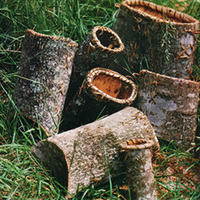057 tulip tree bark baskets - photo.jpg