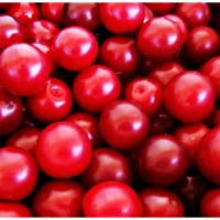 cherry background-health benefits.jpg